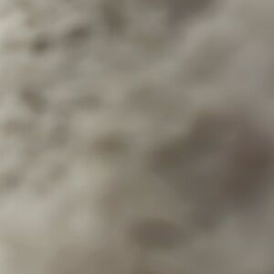 Meet your Posher, Marisela